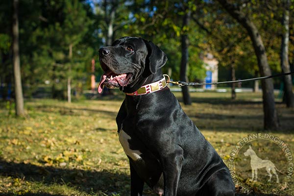 Great Dane leather leash with rustless hardware for-any-activity