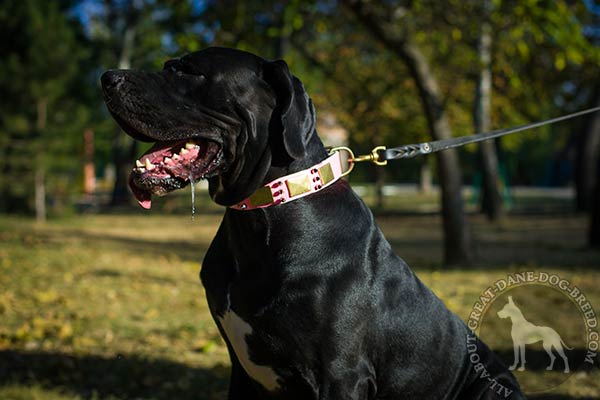 Great Dane leather leash with rustless brass plated hardware daily-activity