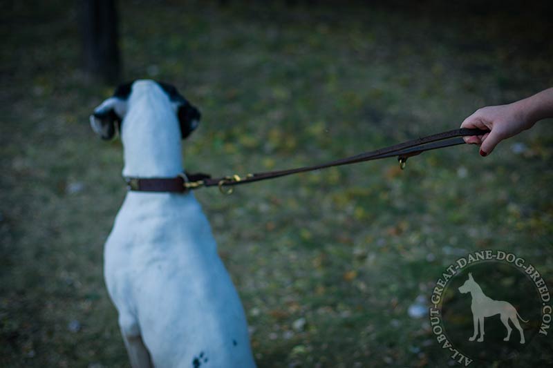 Multifunctional Leather Great Dane Leash with 2 Snap Hooks [L1131094