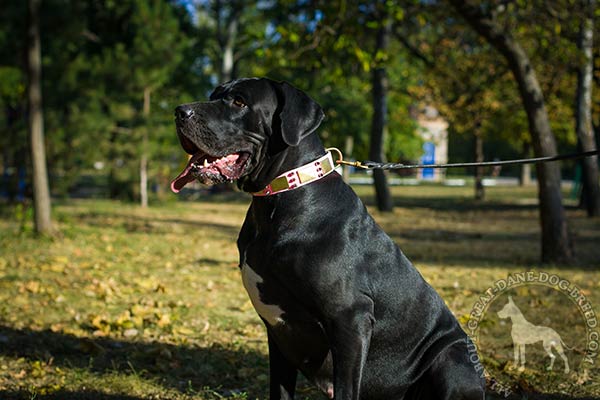 Great Dane leather leash with duly riveted handle quality-control