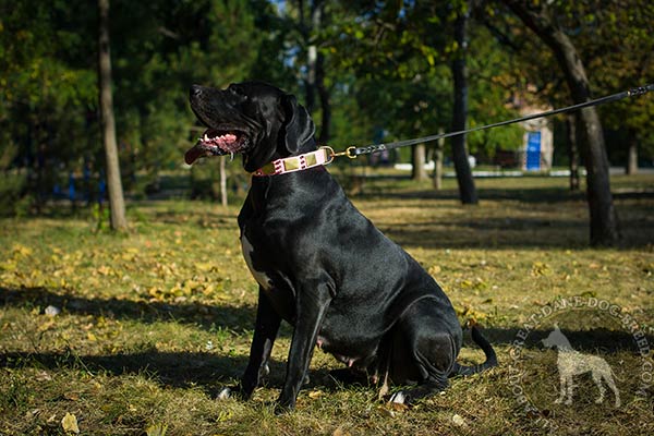 Great Dane leather leash with non-corrosive with riveted hardware for-any-activity