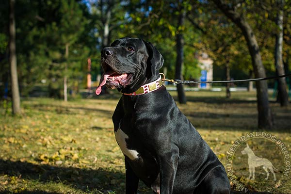 Great Dane leather leash with rust-free brass plated hardware quality-control