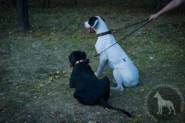 Great Dane leather leash with durable brass plated hardware quality-control