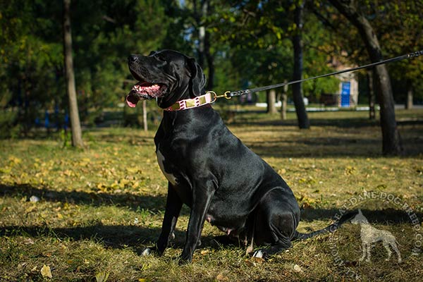 Great Dane leather leash with corrosion resistant brass plated hardware basic-training