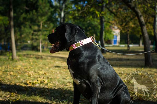 Great Dane leather leash with rust-free hardware daily-walks