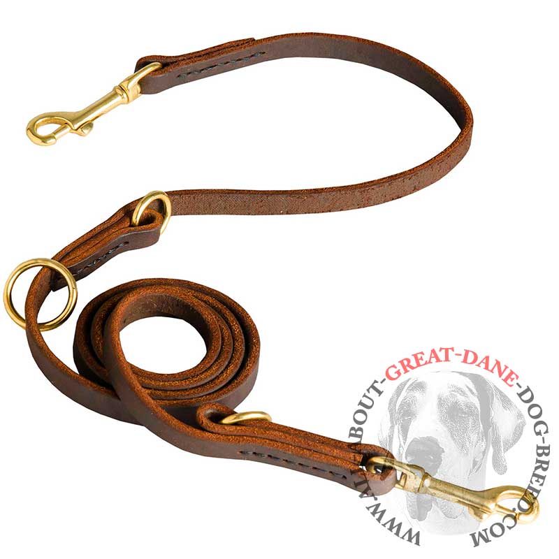 Multifunctional Leather Great Dane Leash with 2 Snap Hooks [L1131094