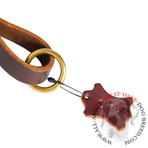 Leather Dog Lead With Ring