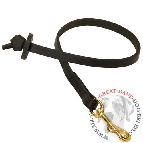 Pocket Great Dane leash