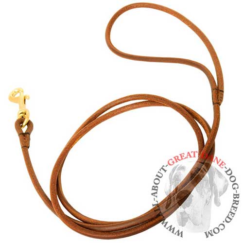 Leather Great Dane Leash for Dog Show [L371094 Round leather leash