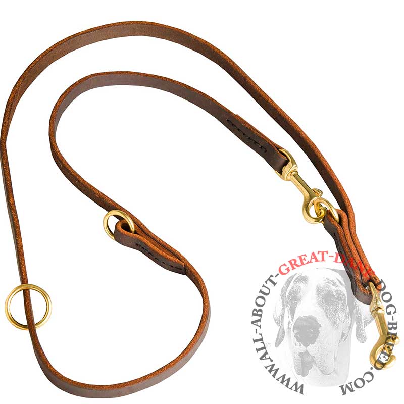 Multifunctional Leather Great Dane Leash with 2 Snap Hooks [L1131094 Leather leash multi