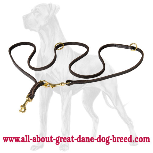Strong Leather Great Dane Leash [L110E1094 English baby soft leather dog leash multi function