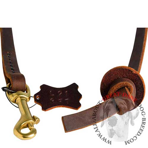 Snap hook for short Great Dane leash