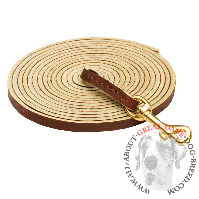 Long Leather Dog Leash for Great Dane [L5101094 Leather dog leash for tracking] Great Dane