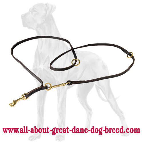 Strong Leather Great Dane Leash [L110E1094 English baby soft leather
