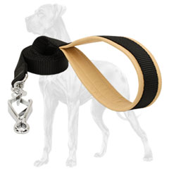 Nylon Great Dane Leash with Strong Handle
