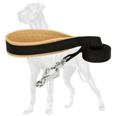 Nylon Great Dane Lead with Rust-Proof Snap Hook