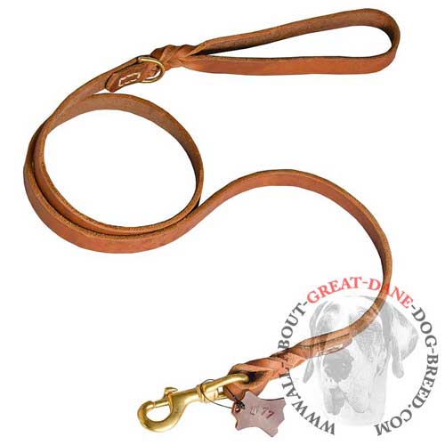 Training leather Great Dane leash for reliable service