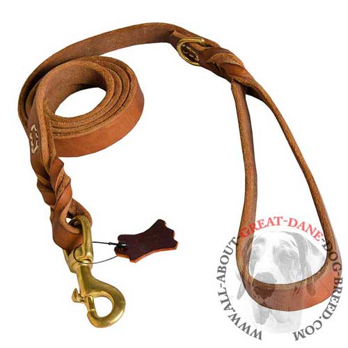 Great Dane leather leash with stainless fittings