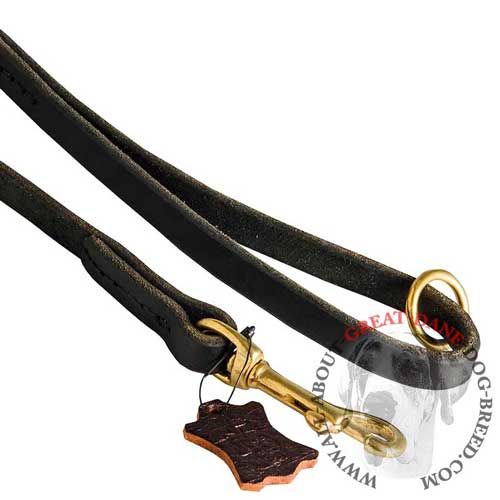 Great Dane leather leash equipped with brass hardware 