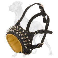 Safe Decorated Leather Great Dane Muzzle