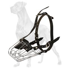 Stainless steel cage Great Dane muzzle