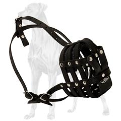 Well-ventilated muzzle for Great Dane