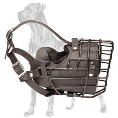 Great Dane Muzzle with Strong Buckle