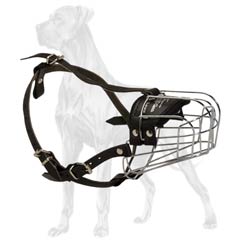 Comfortable wire basket Great Dane muzzle