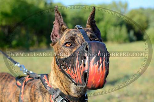 Fashionable Leather Dog Muzzle for Attack Work