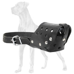 Walking muzzle for Great Dane breed