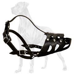 Easy adjustable Great Dane muzzle