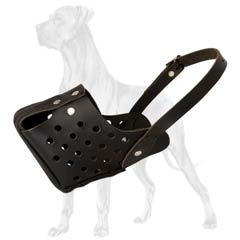 Newly designed genuine leather muzzle for Great Dane