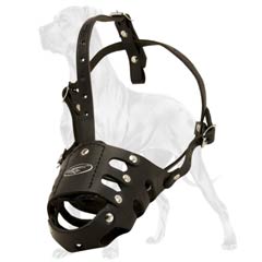 Great Dane muzzle with ventilation holes