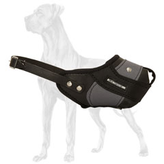 Great Dane muzzle of nylon and leather