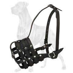 All-purpose basket muzzle for Great Dane