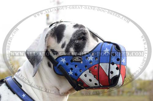 American Flag Great Dane Muzzle 