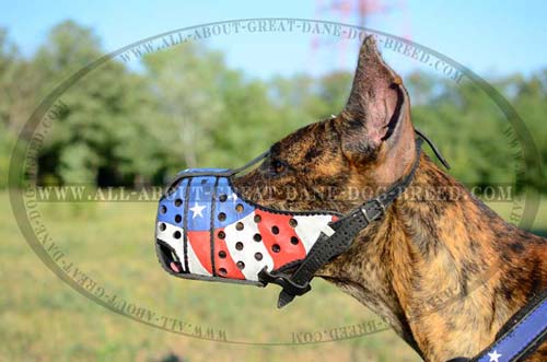 Walking Leather Great Dane Muzzle 