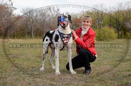 Leather Great Dane Muzzle with Soft Padding 