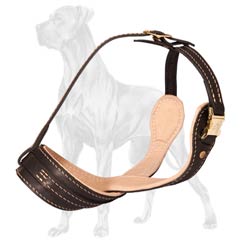 Safe Leather Muzzle for Great Dane