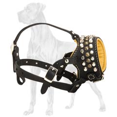 Worry-Free Leather Dog Muzzle With Studs